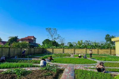 TRƯỜNG MẦM NON PHÚ PHÚC HƯỞNG ỨNG NGÀY HỘI TOÀN DÂN CHUNG TAY BẢO VỆ MÔI TRƯỜNG