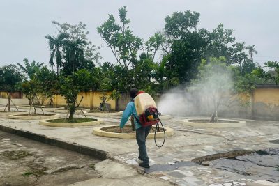 Trường Mầm non Phú Phúc phun thuốc diệt muỗi phòng chống sốt xuất huyết